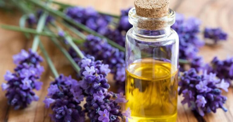 Scents and sensibility — some facts about essential oils