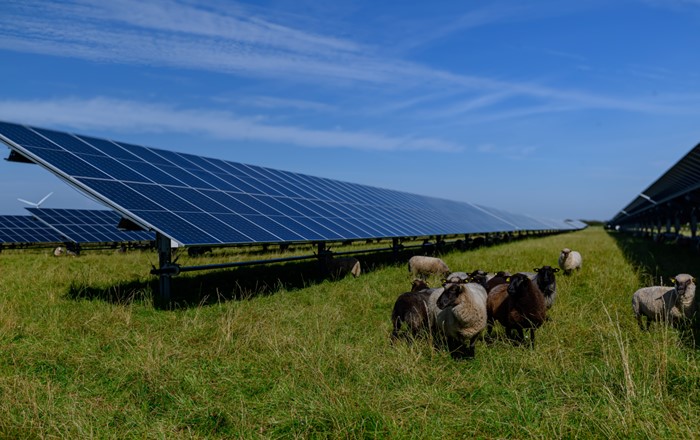 New research from Swansea University shines a light on how solar power and farming can coexist