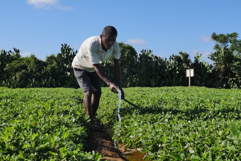 Water challenges — worsened by climate change — threaten the world’s crops