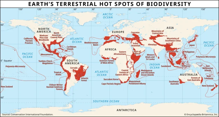 The race to discover and protect Earth’s hidden plants