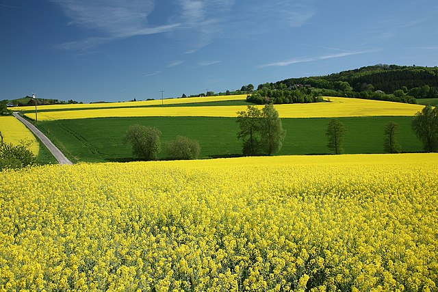 Transforming agriculture from carbon source to sink