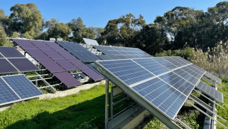 How farmers can install solar panels in fields without damaging the rest of their operation