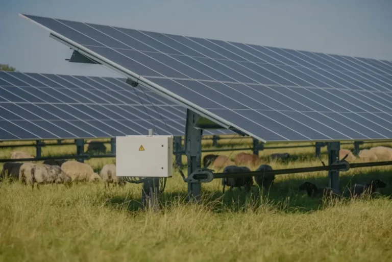 Experts Uncover Game-Changer Side Effects Of Solar Farms