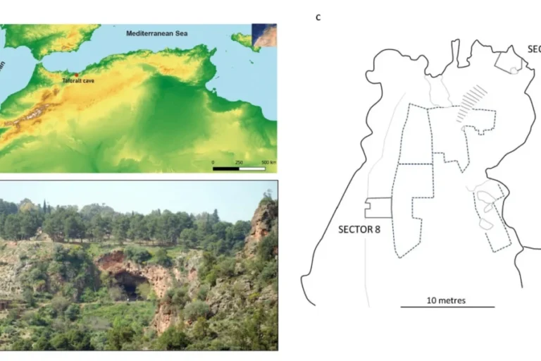 Discovery of the world’s earliest medicinal plant use in Morocco