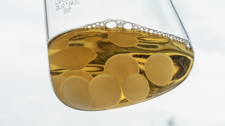 Fungal biobattery