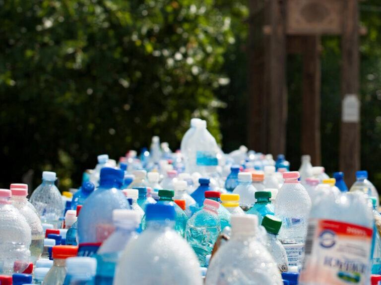The circular economy: transforming waste into wealth