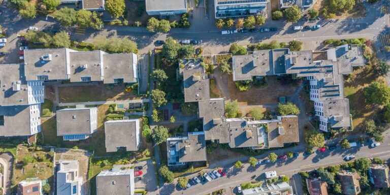 Could the layout of trees impact human health?