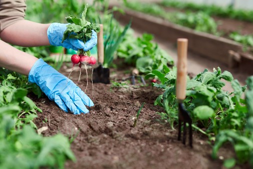 Nature-based activity is effective therapy for anxiety and depression