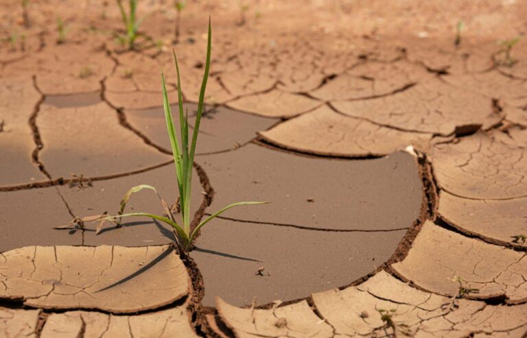 Water Shortage in Lesvos Prompts State of Emergency Declaration