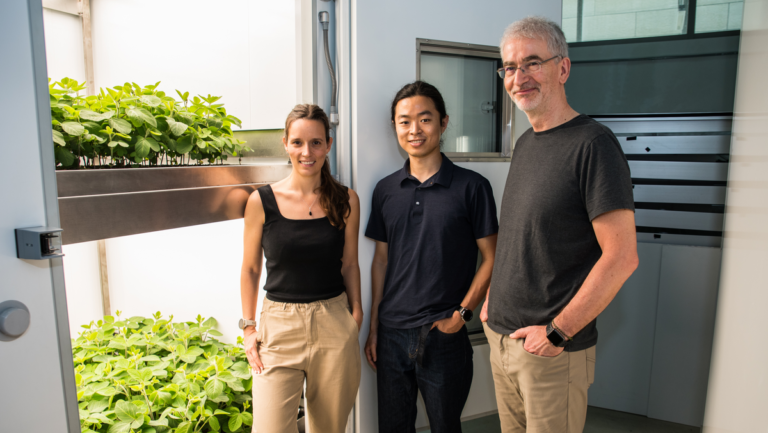 Vertical Farming to increase yields and reduce environmental impact