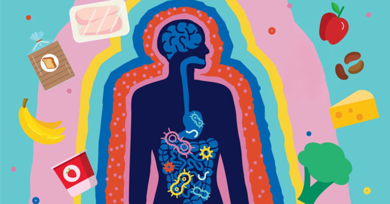 Food as medicine: How diet shapes gut microbiome health