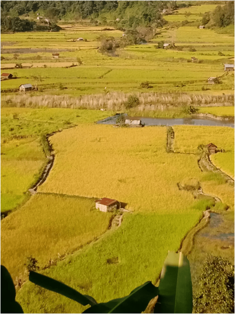 Biodiversity – A Sovereign Property