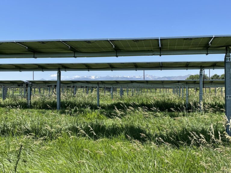 Research shows how solar power systems can aid grasslands