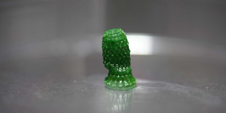 A building material that lives and stores carbon
