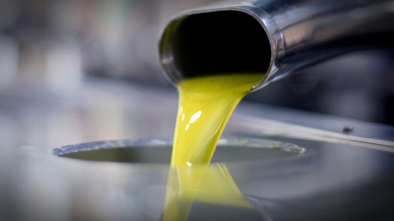 Oleacein: The Promising Phenolic Compound in Extra Virgin Olive Oil