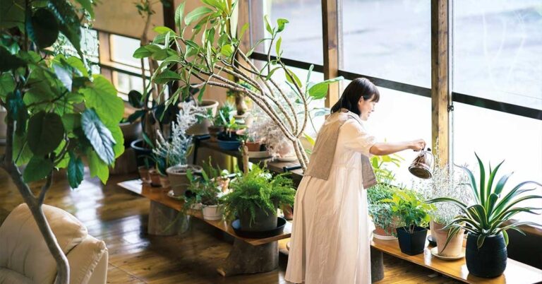 The Benefits of Plants