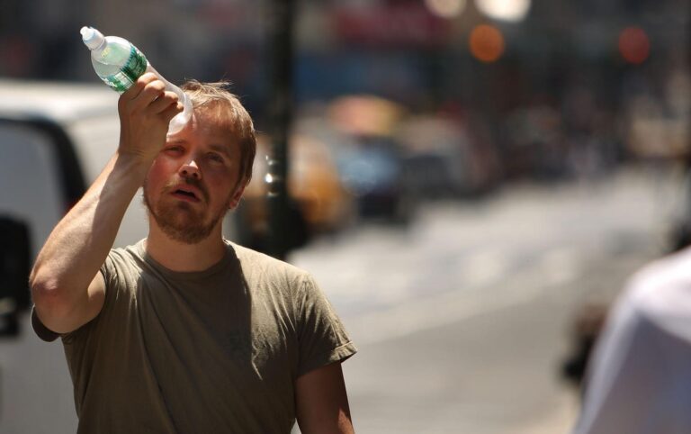 Hot In The City: Why The Wrong Trees In The Wrong Places Matters