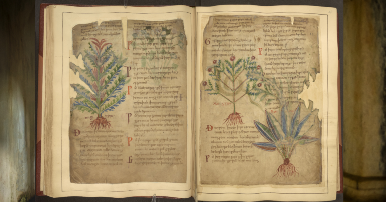 Medieval medicine was smarter than you think
