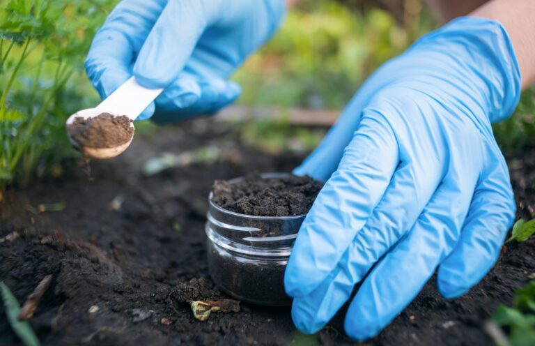 Scientists make game-changing soil discovery that could transform agriculture