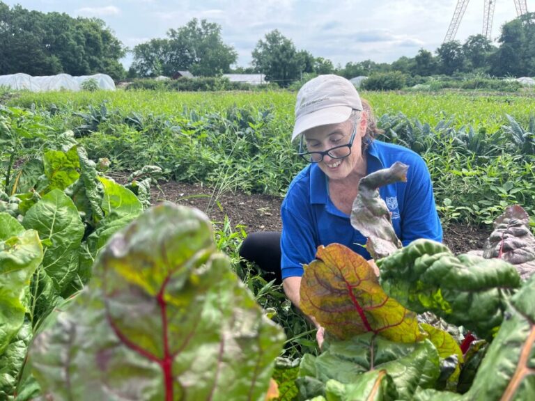 How an ancient practice is helping farms feed the hungry and reduce waste